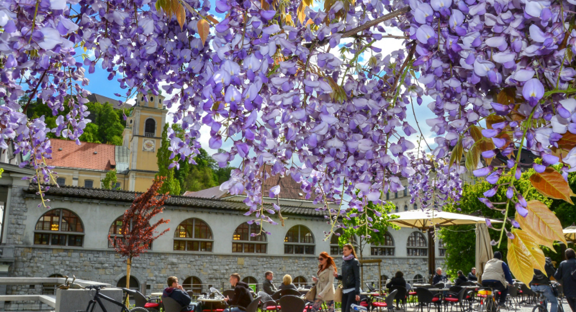 LjubljanaVCvetju01 D.Wedam