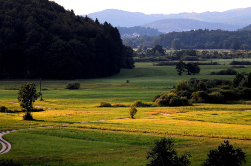 Panoramska slika polja.