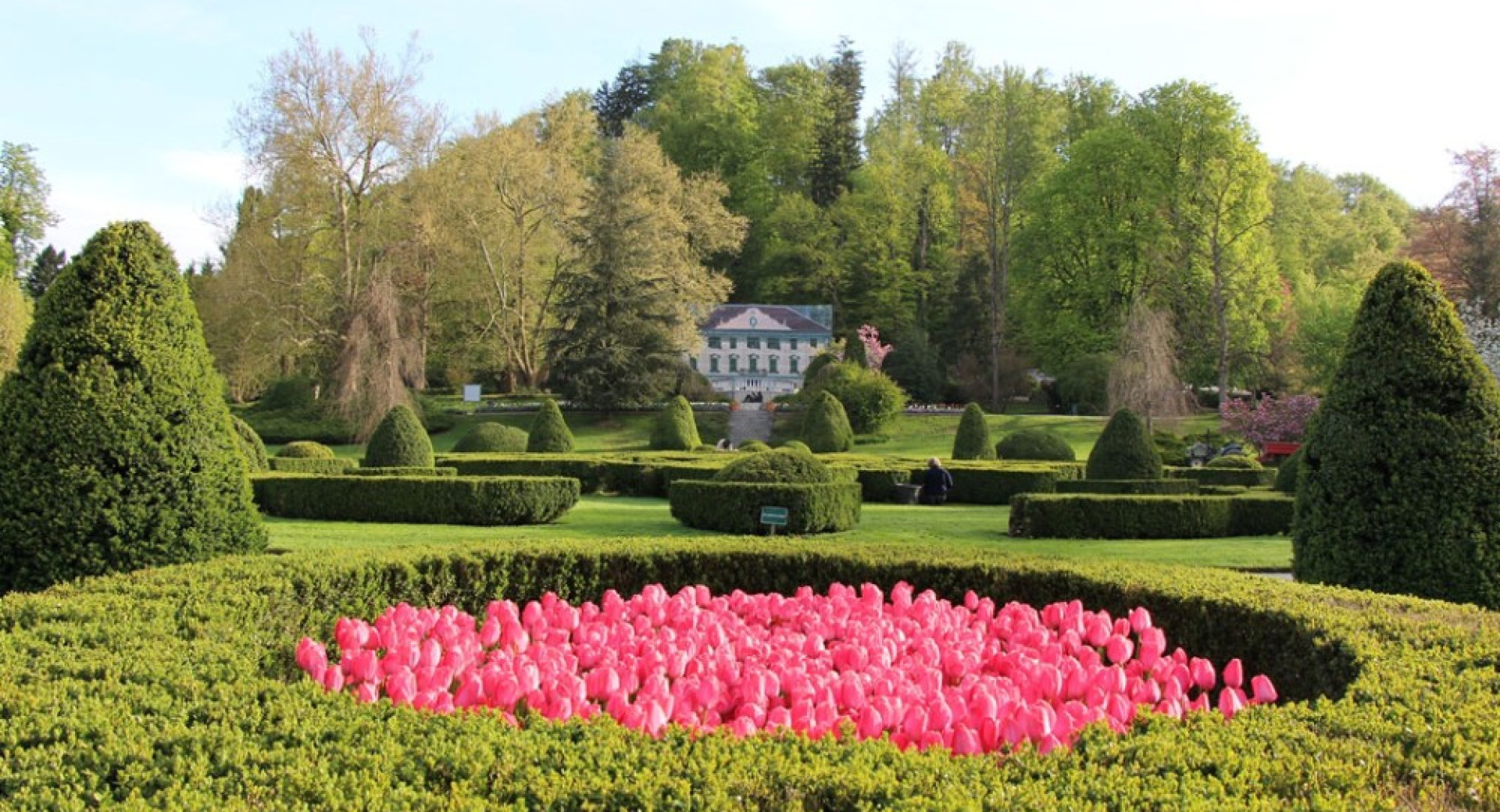Park s cvetočimi tulipani in gradom v ozadju.