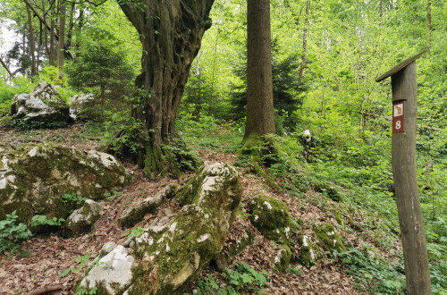 Informacijska tabla na učni poti.