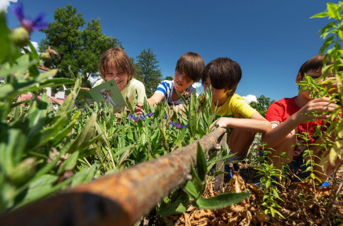 Otroci spoznavajo zdravilne rastline 