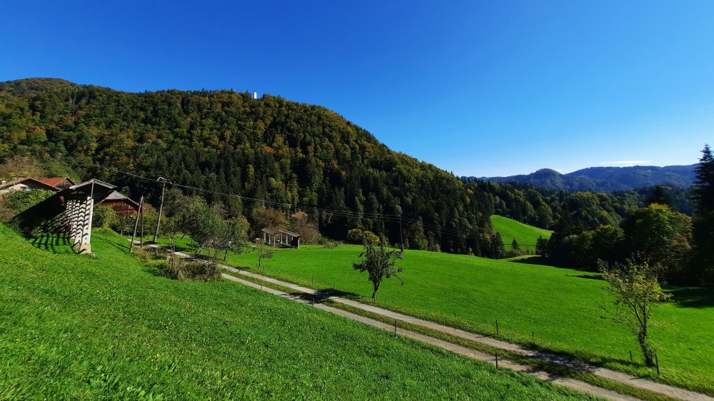 Utrinek s poti in pogled na cerkev sv. Miklavža na vrhu gozdnate vzpetine
