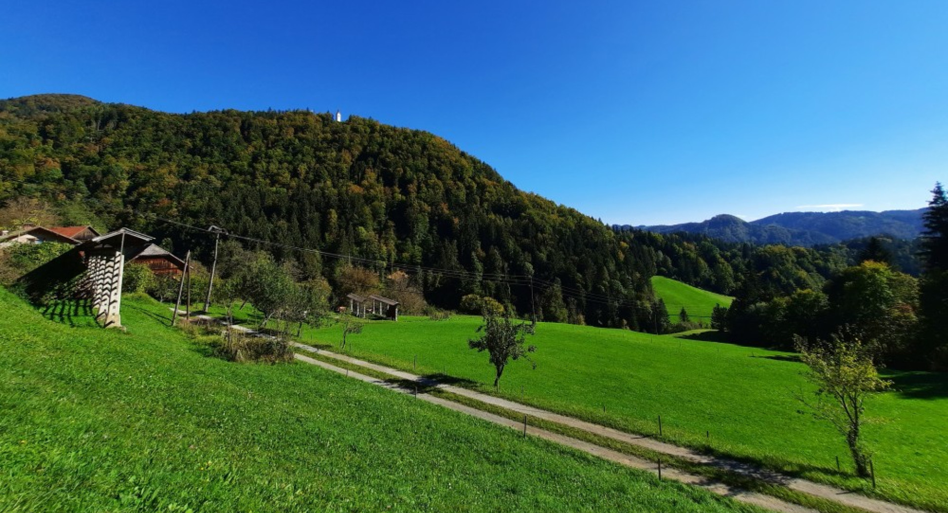 Travniki in v ozadju gozdovi.