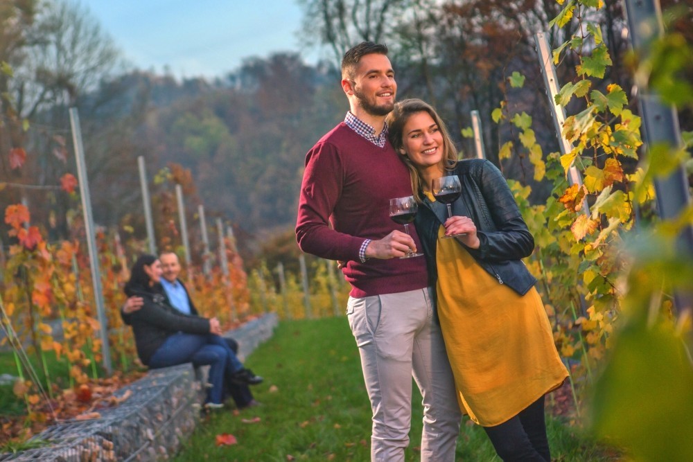 Ljubljana ima vse možnosti razvijati gastronomijo kot enega glavnih motivov prihoda