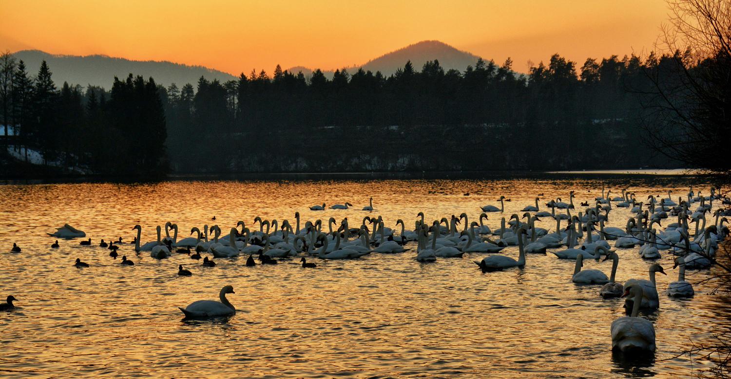 Zbiljsko jezero