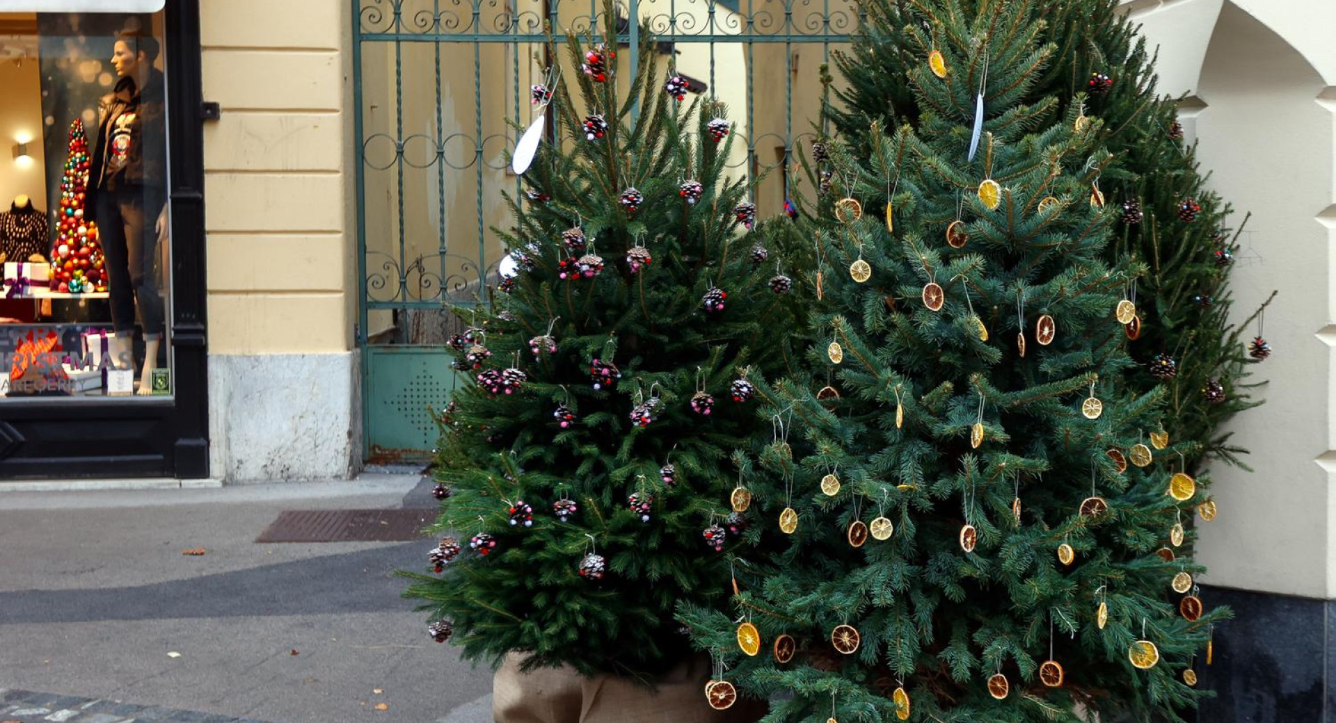 Bozicna smreka okrasena z okraski iz naravnih materialov.