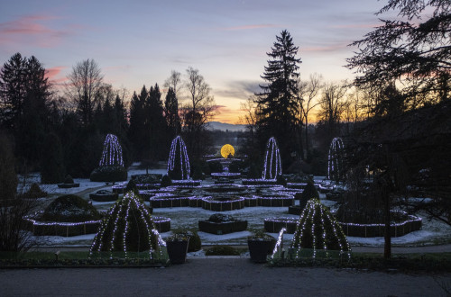 Večerni sprehod med prazničnimi lučkami v Arboretumu Volčji Potok, december 2022