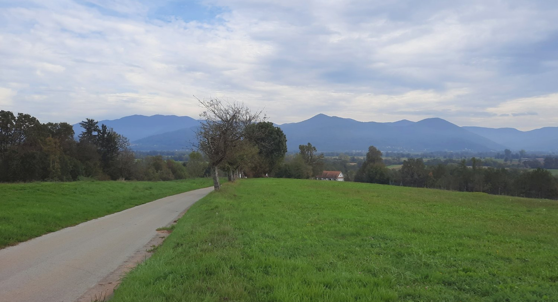 Zelena pokrajina na Bobrovi poti v Blatni Brezovici na Ljubljanskem barju