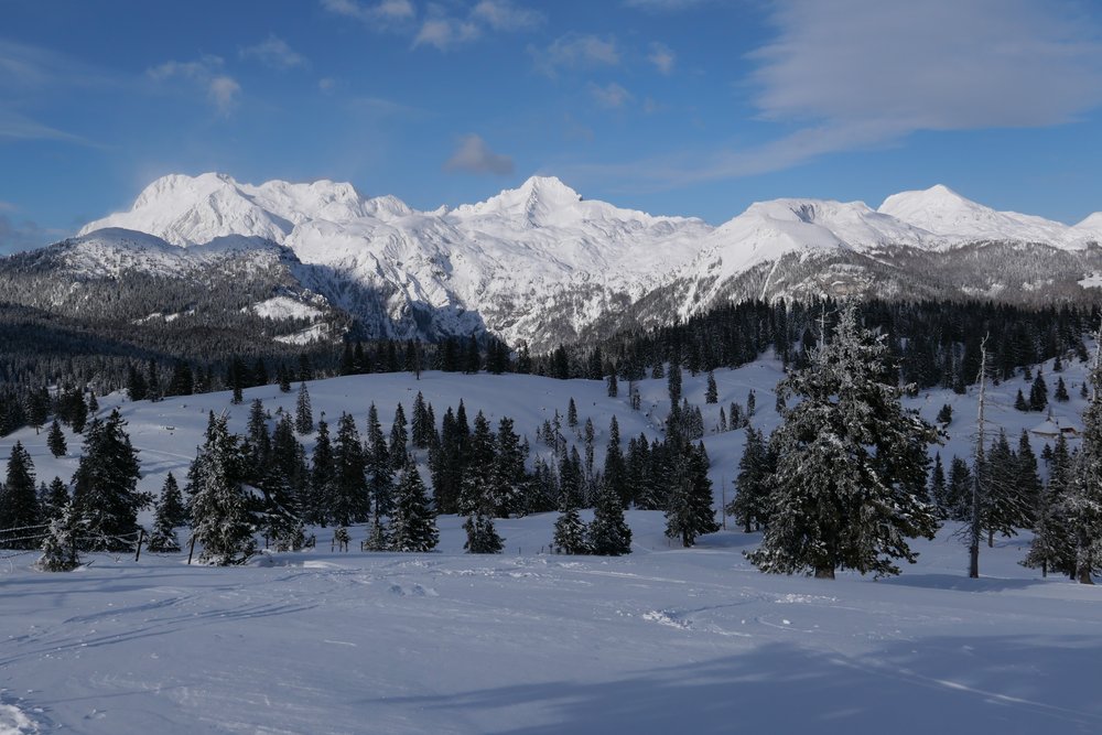 Zasnežene gore.