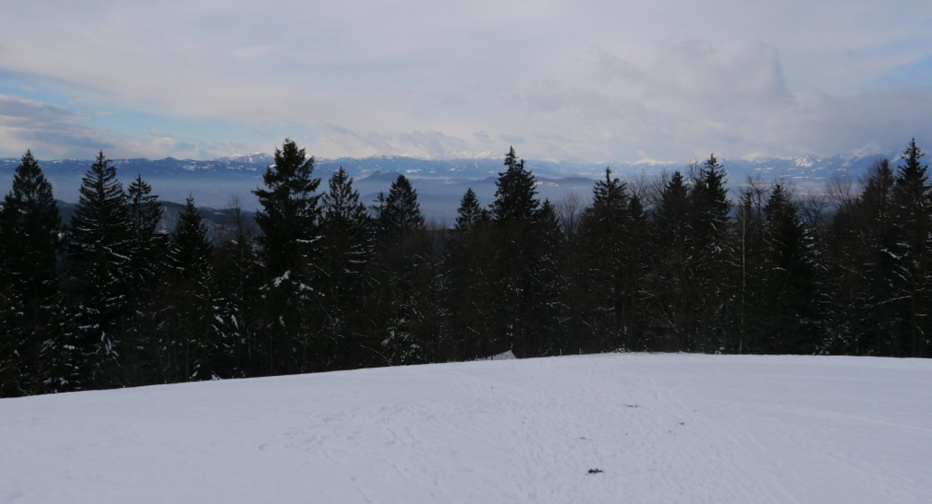 Zasneženo hribovje in gozd.