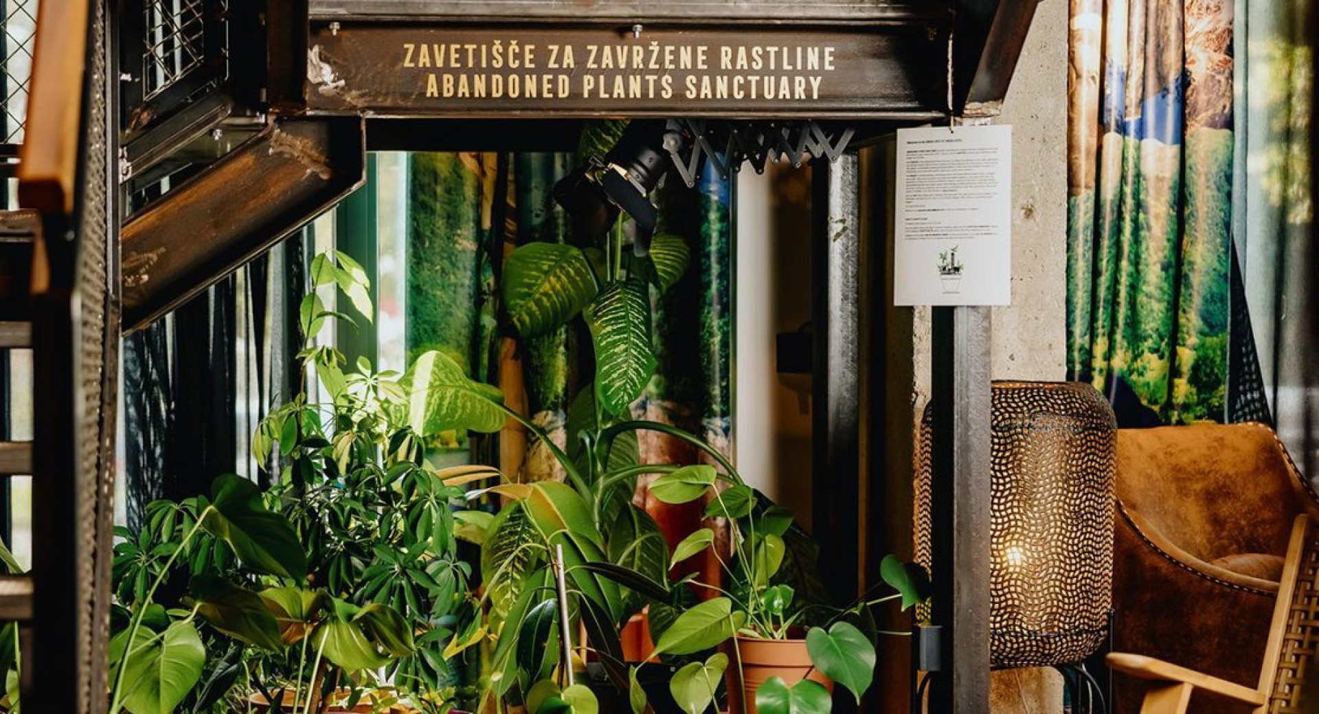 Zavetišče za zavržene rastline v One66 Hotelu v Ljubljani