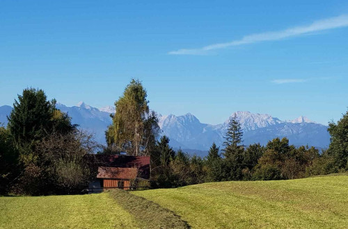 Razgled na Ihanski krožni poti; travnik, hiška, gozd in gore v ozadju.