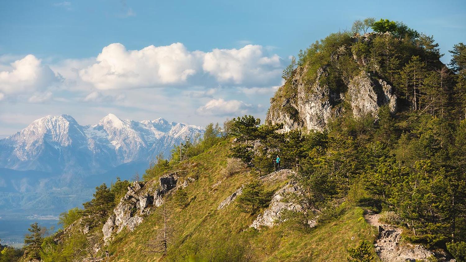 Hrib. V ozadju zasnežene gore.