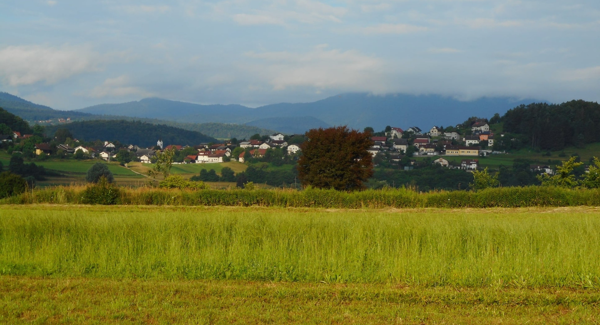 Tranvata pokrajina, v ozadju naselje, v občini Škofljica