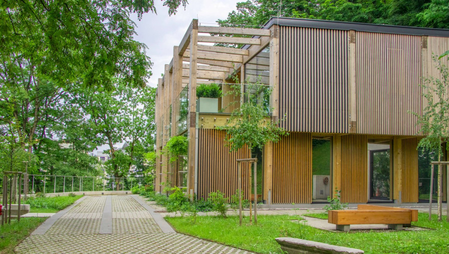 Lesena hisa. Okoli veliko dreves.