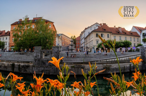 Pogled na Novi trg v Ljubljani, v ospredju cvetje in Ljubljanica z nabrežjem