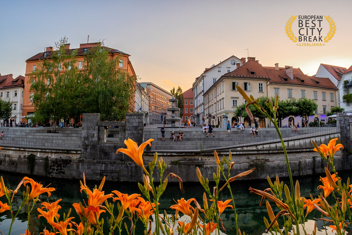 Pogled na Novi trg v Ljubljani, v ospredju cvetje in Ljubljanica z nabrežjem