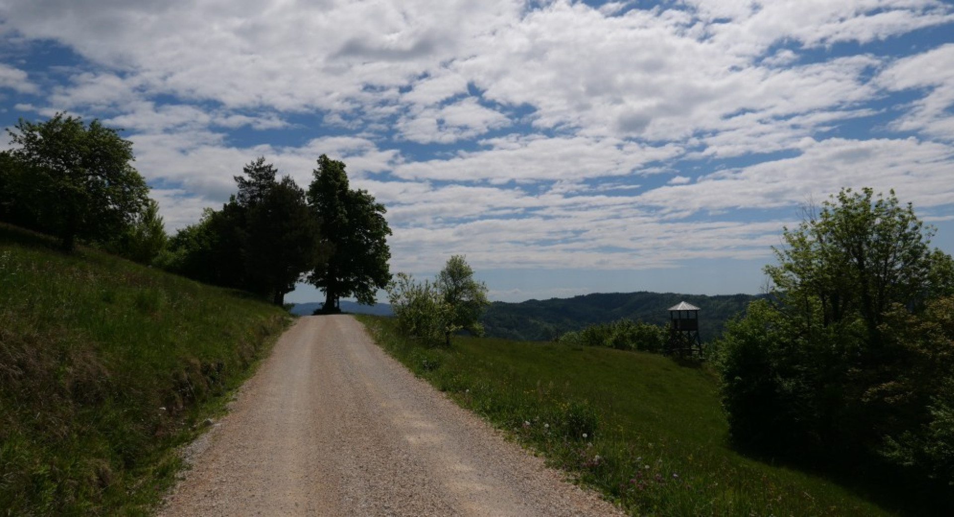 Pohodniška pot v hribih.