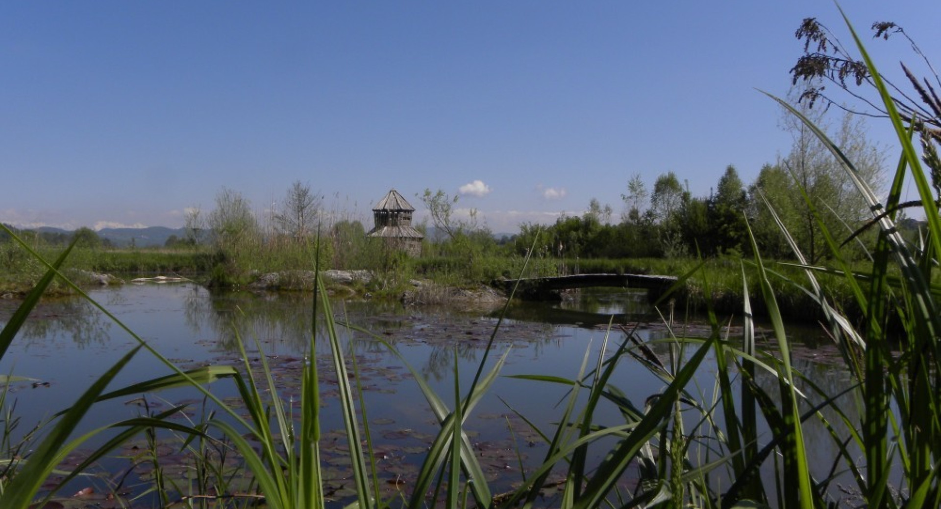 A wooden house amidst the lake greenery.