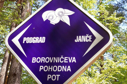 Smerokaz na Borovničevi poti.