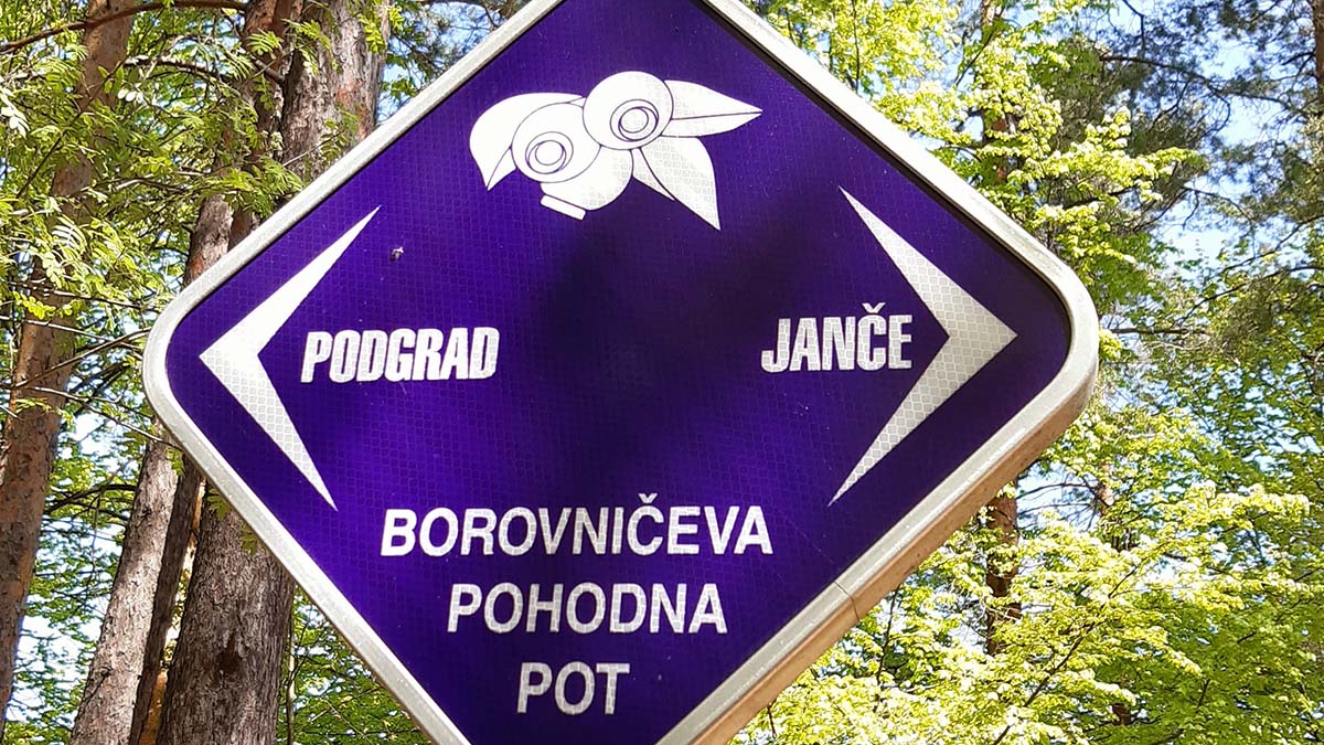 Smerokaz na Borovničevi poti.