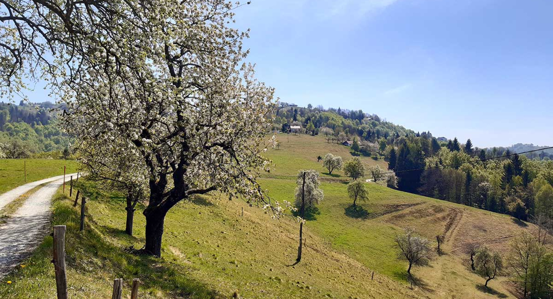 Pohodniška pot v hribih.