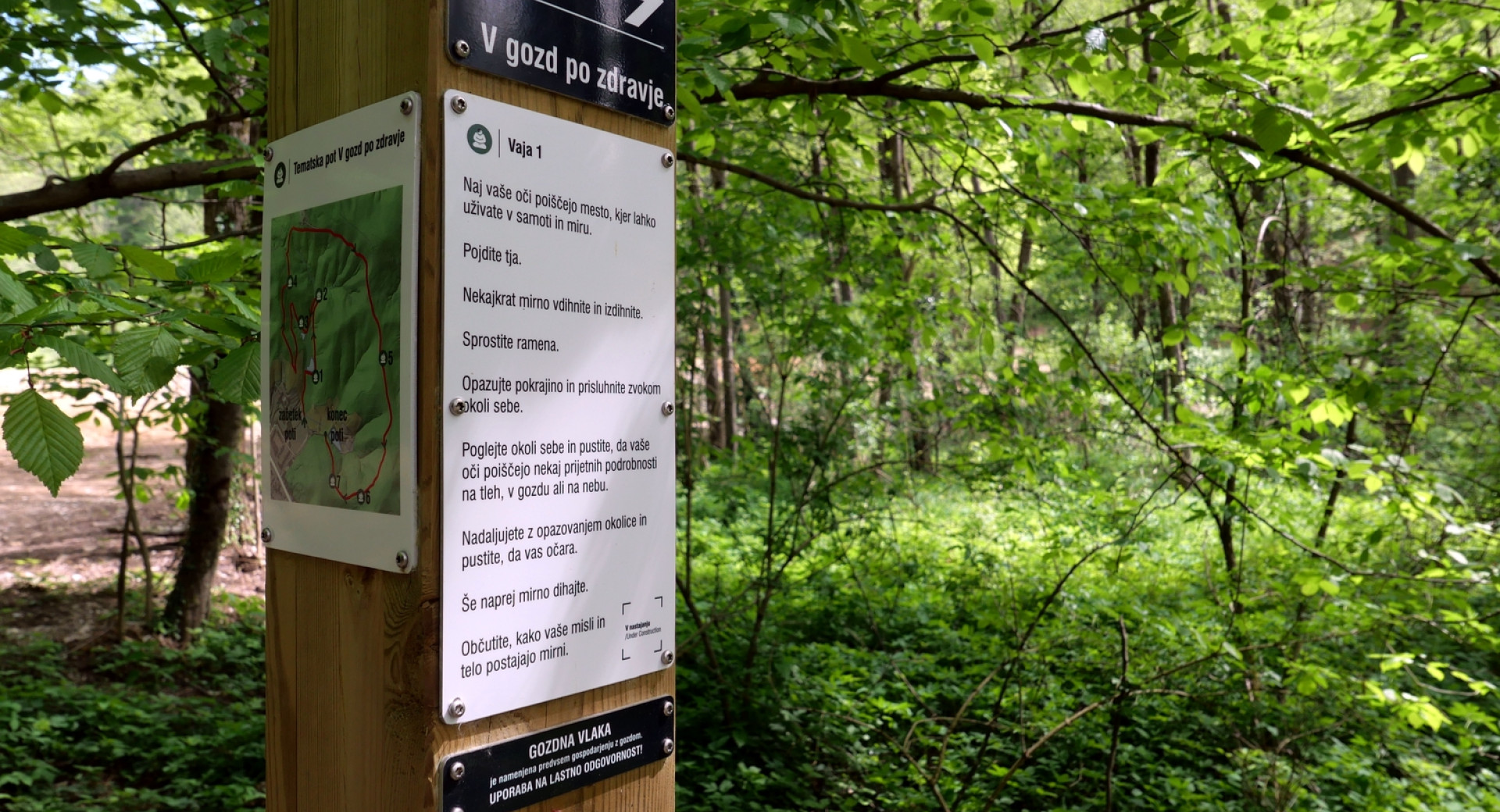 Tematska pot po Golovcu v Ljubljani V gozd po zdravje; na fotografiji tabla, na kateri je napisana vaja za sproščanje v gozdu