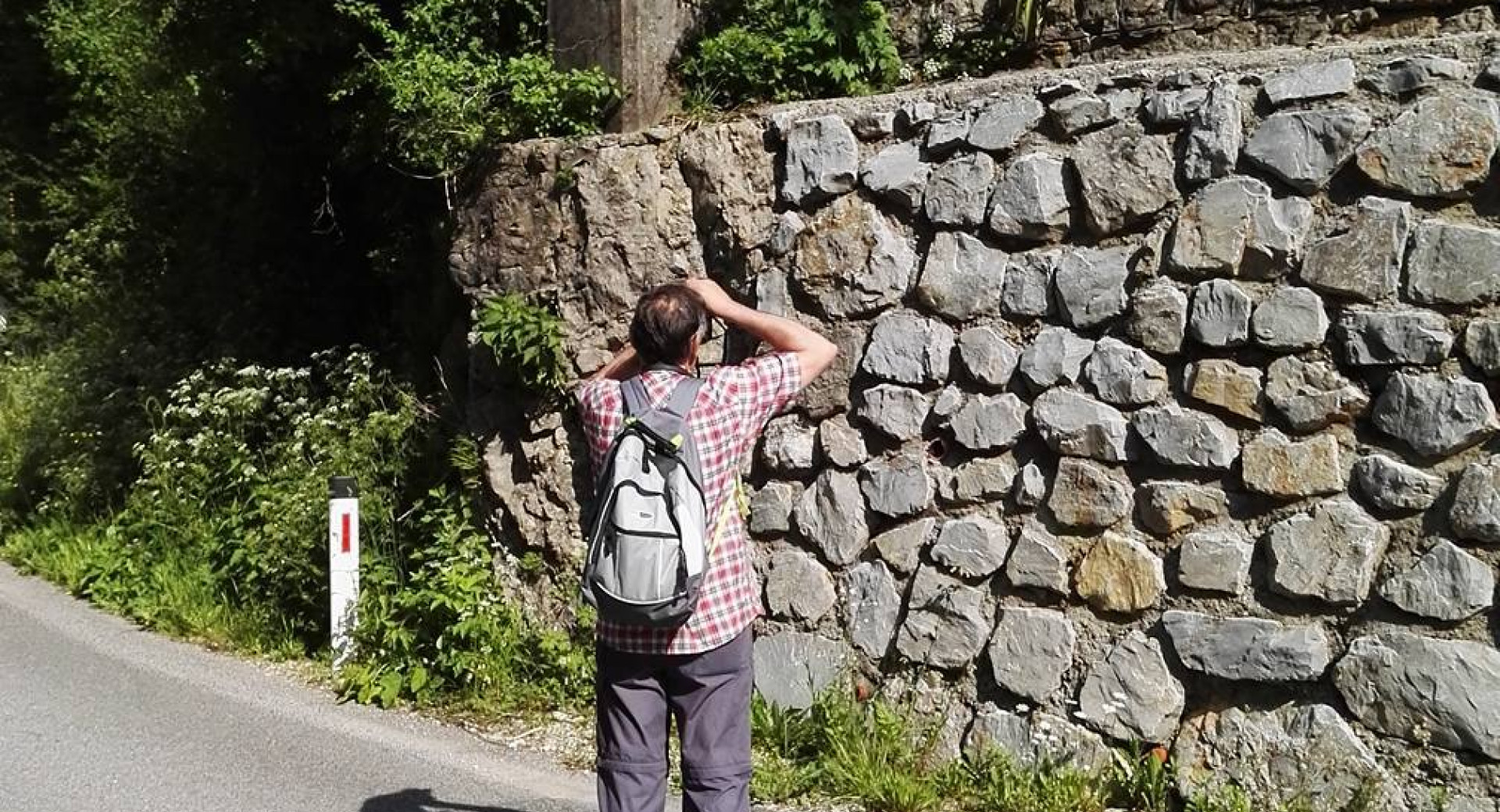 Mejni kamen Rapalske meje v občini Logatec, pred njim pohodnik