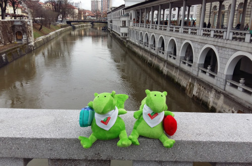 Plišasta zmaja na ograji Tromostovja. V ozadju Plečnikove tržnice in Ljubljanica.