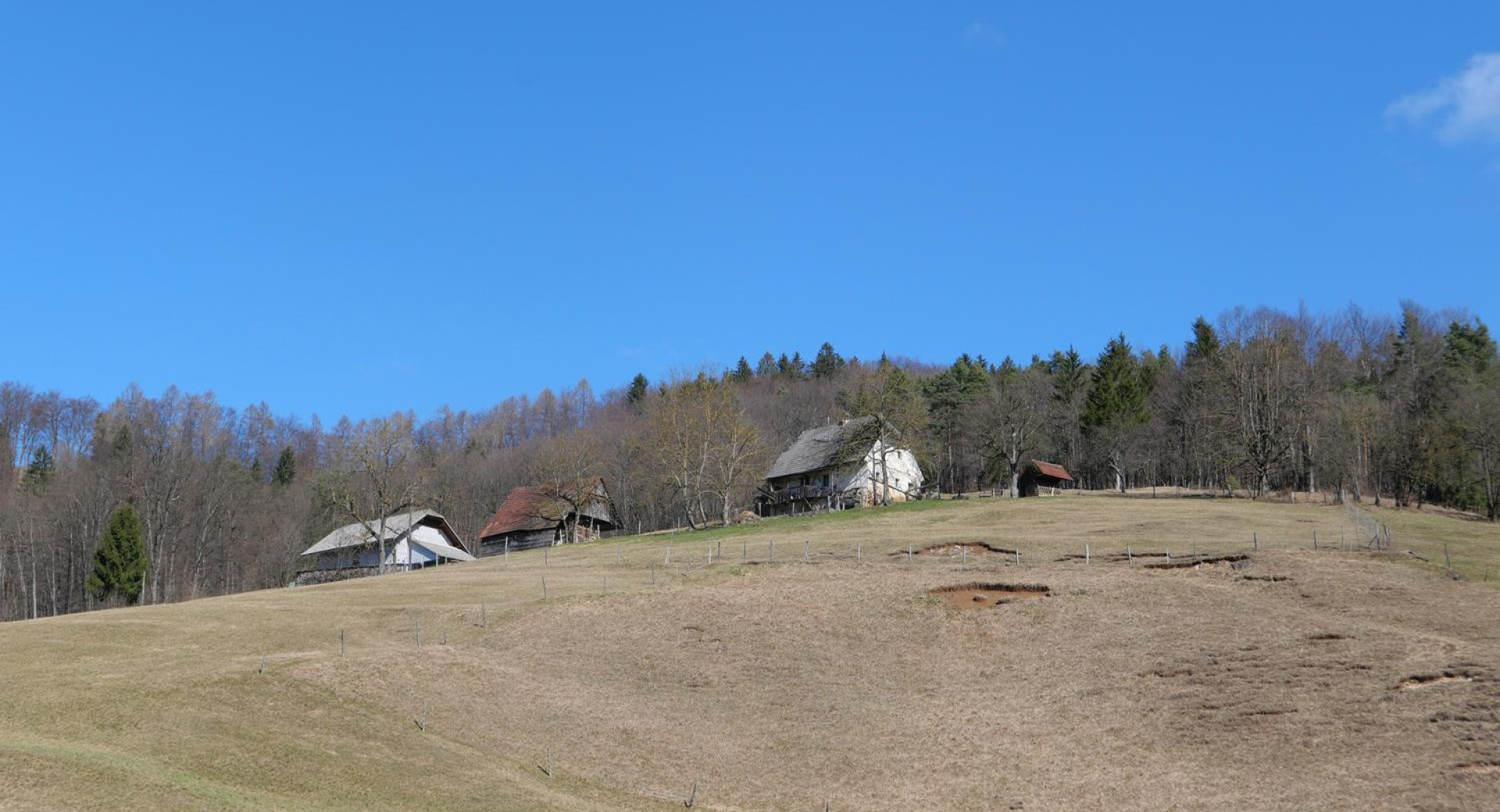 Travnik in na hribu dve hiši. V ozadju gozd.