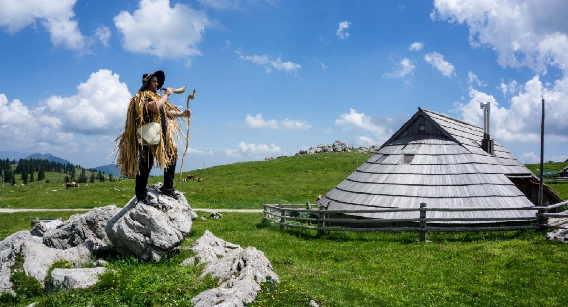 Planinec na skali na Veliki planini. Na desni strani planinska koča.