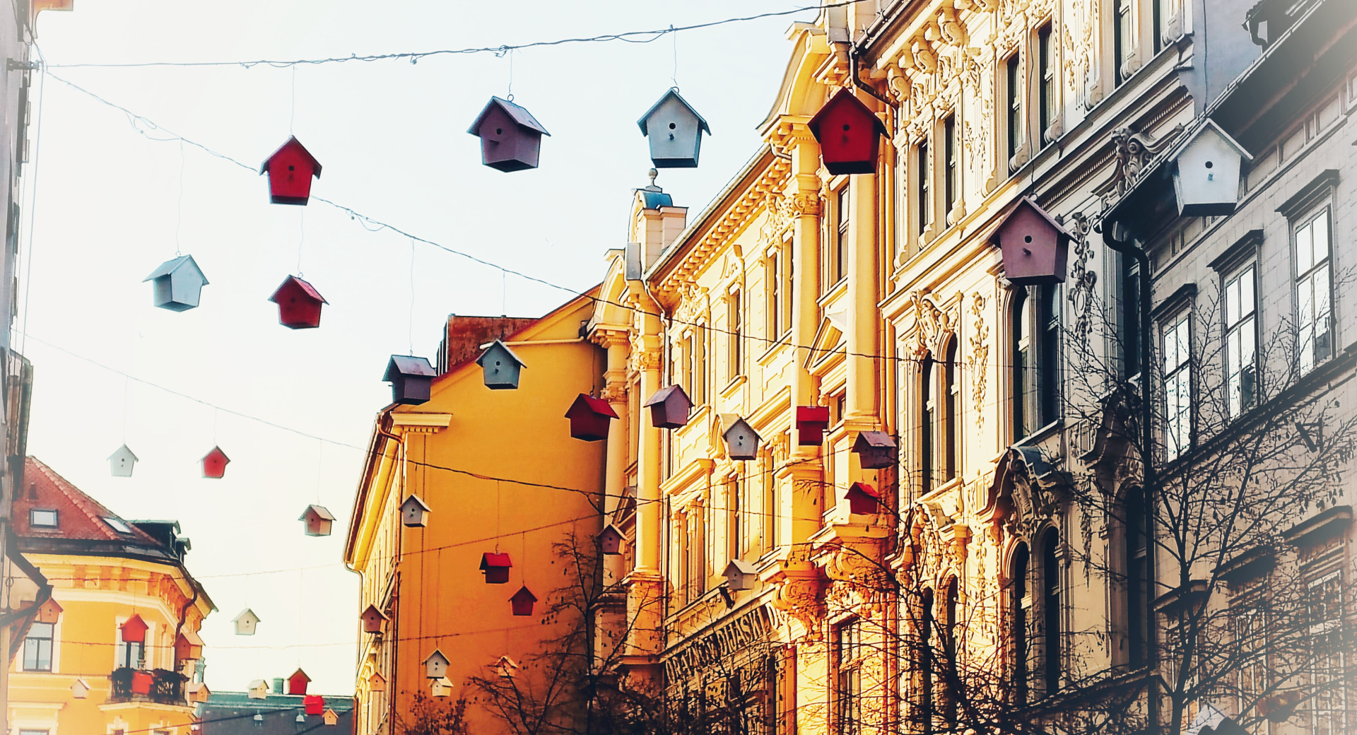 Ptičje hiške, obešene v starem jedru Ljubljane, v okviru LUV festa (od 8.2. do 12.3.2023)