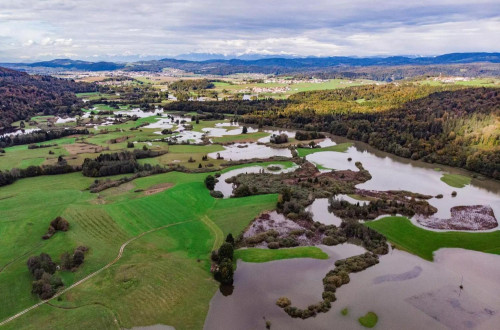 Pogled na deloma poplavljeno Radensko polje pri Grosupljem iz zraka: mozaik zelenih travnikov, grmičevja in drevja, vmes voda, ob strani in v ozadju gozdovi, med njimi naselje