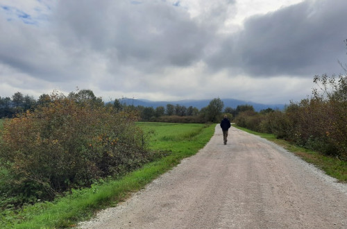 Sprehajalec na pohodniški poti.