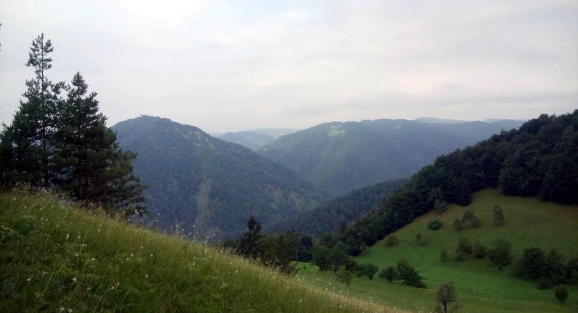 Zelena pokrajina Polhograjcev – utrinek s poti na Tošč