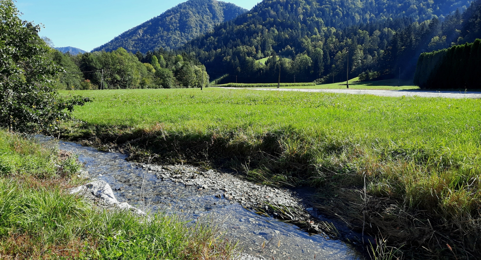 Polhograjski Dolomiti - zeleni travniki in gozdnati hribi ter potok