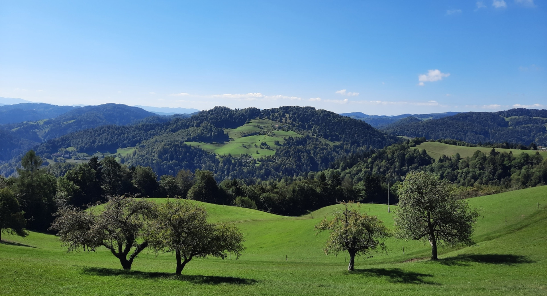 Polhograjski Dolomiti - zeleni travniki in gozdovi, v ozadju hribi