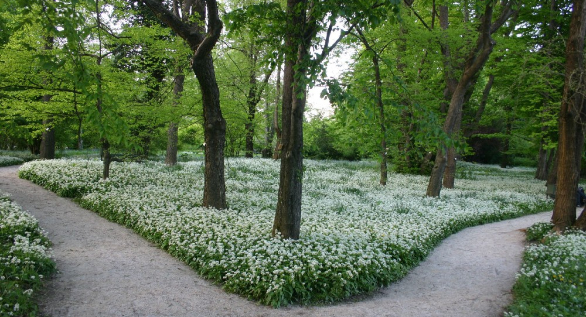 Cvetlične grede ob sprehajalni poti.