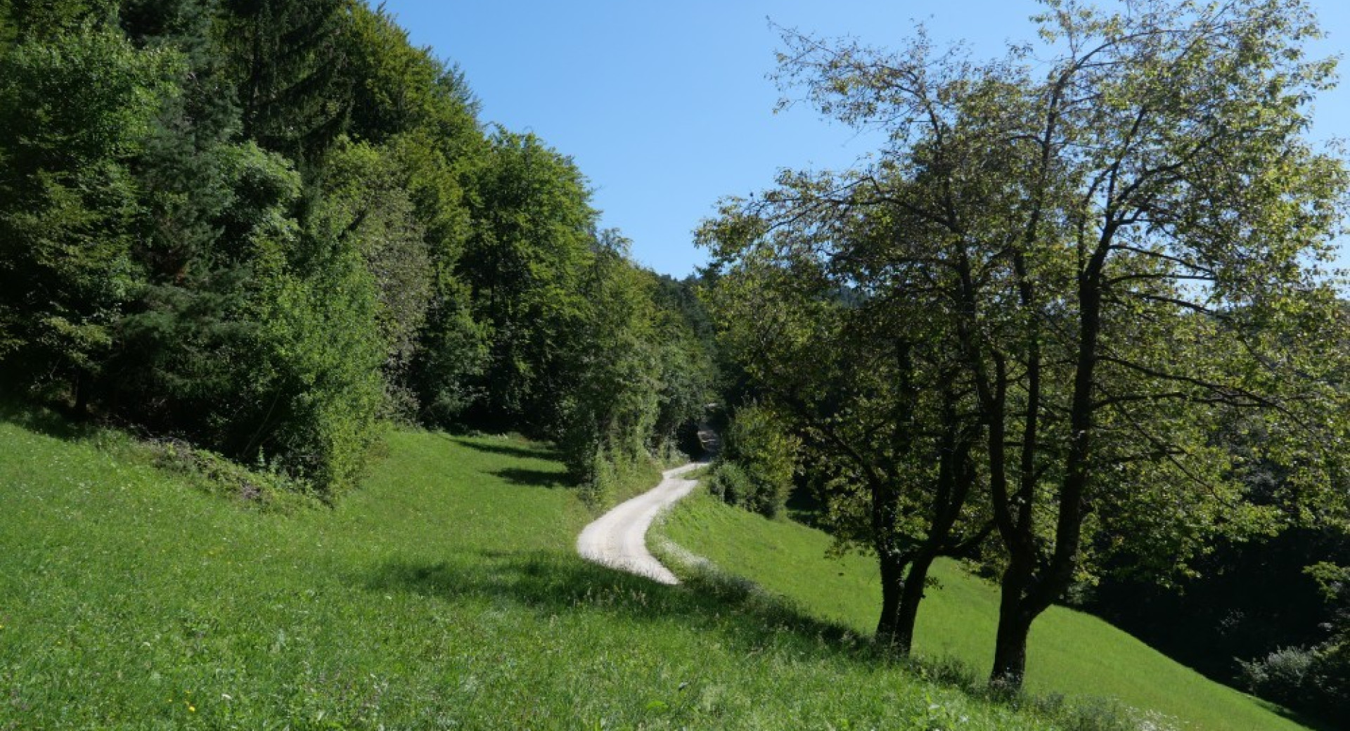 Pot med travniki v hribih.