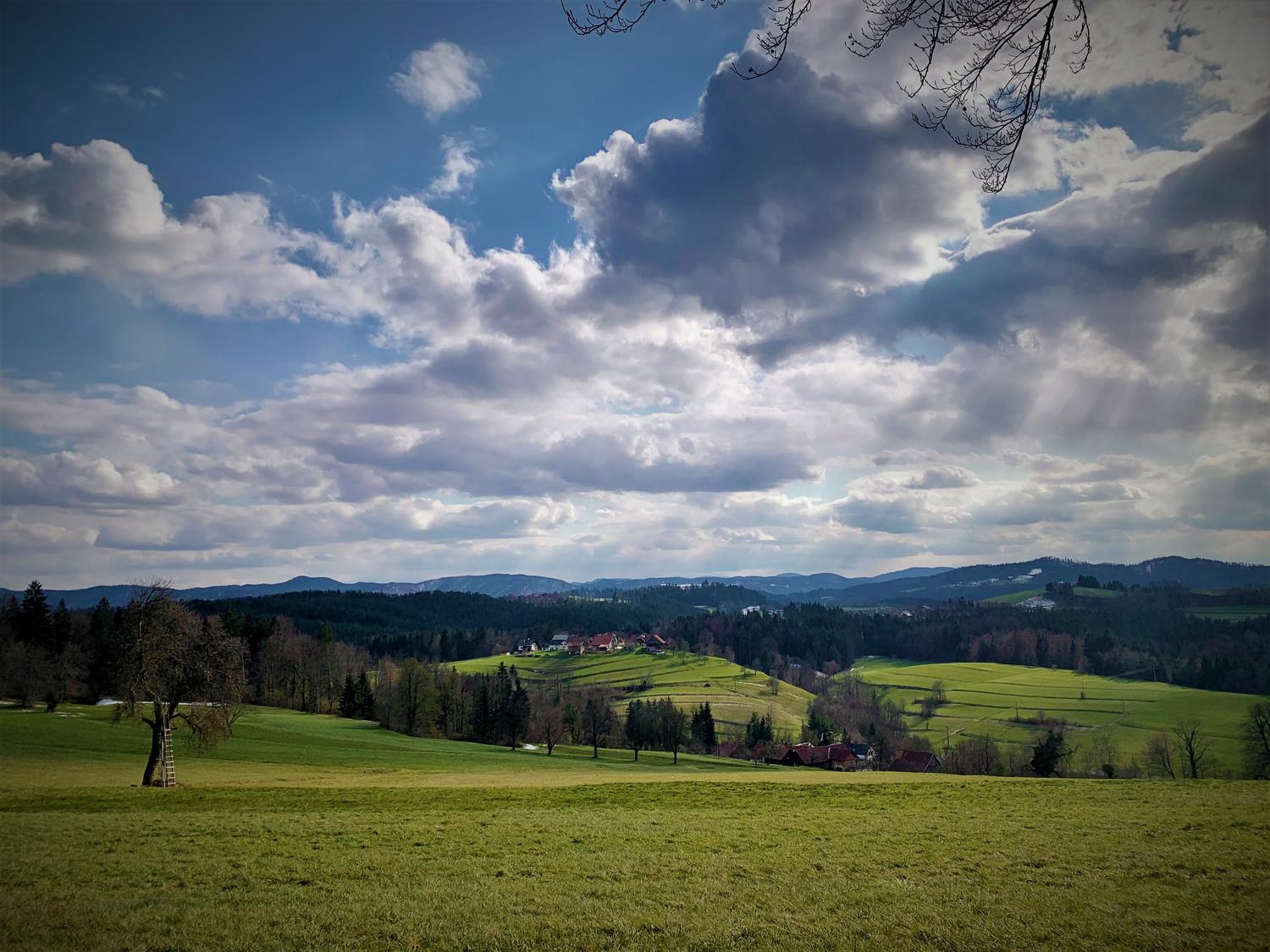 Retje v občini Velike Lašče