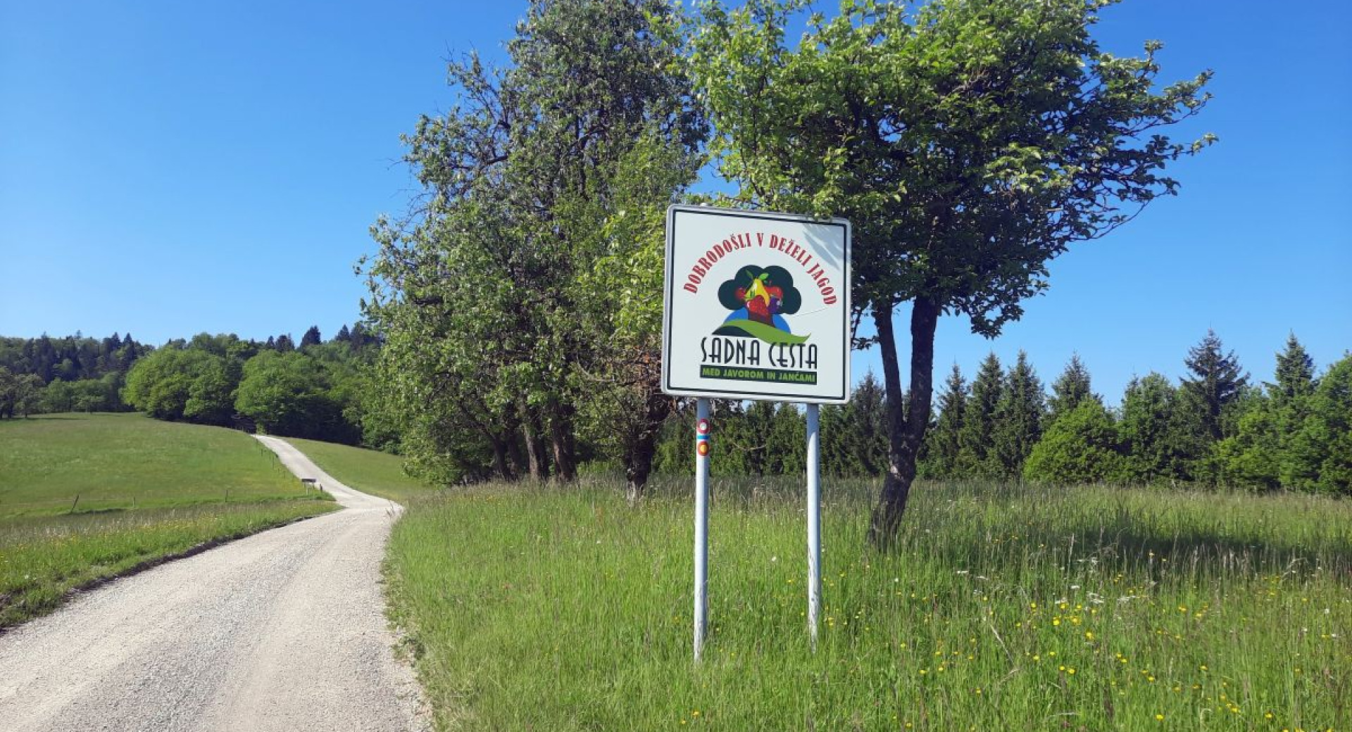 A sign reading "Sadna Cesta" along a path winding through green meadows.