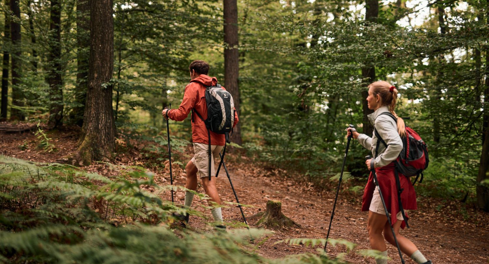 A male and a female hiker with trekking poles are walking through the forest.
