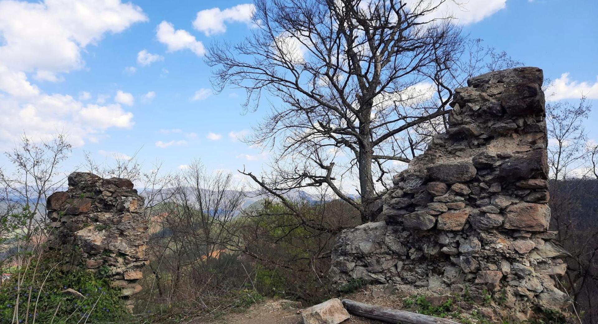 Drevo in ostanki kamnitega obzidja na vrhu hriba.