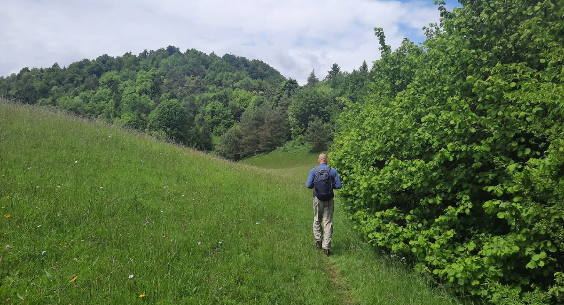 Gospod hodi po oznaceni poti, obdani z bujnim gozdom in zeleno travo