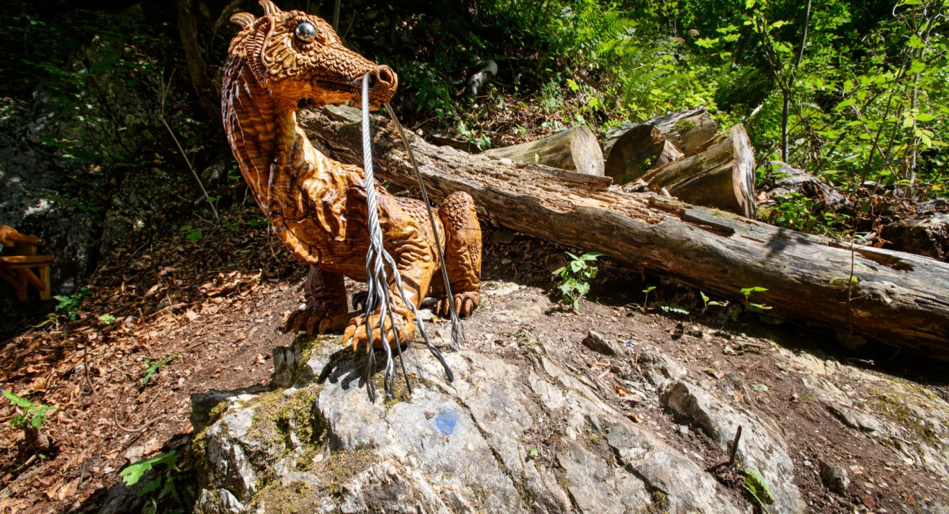  Umetni zmaj sedi na kamnu sredi gozda, ob njem pa je podrto deblo.