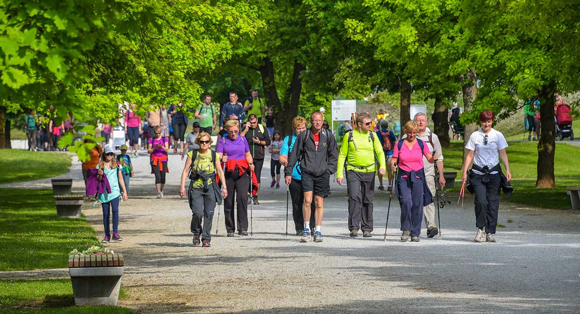 People walking on the gravel road. Greenery around them.