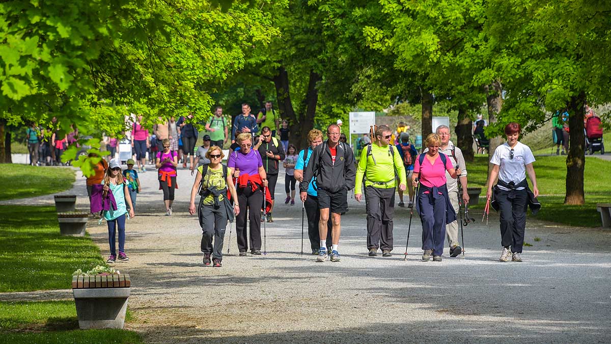 People walking on the gravel road. Greenery around them.