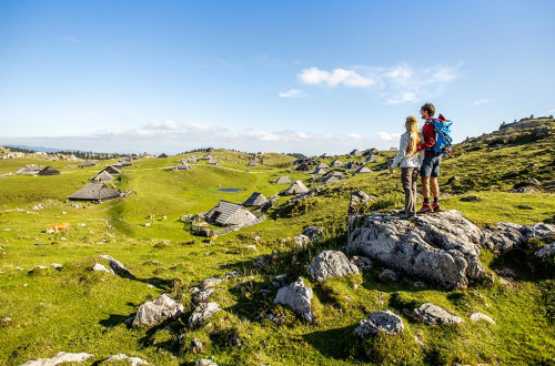 Velika planina photo Staderzen