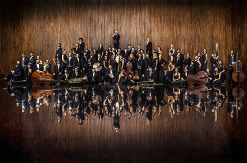 skupinska fotografija orkestra, rjavo leseno ozadje