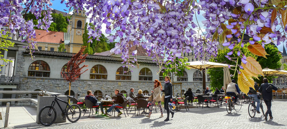 Enjoying Ljubljana photo Dunja Wedam
